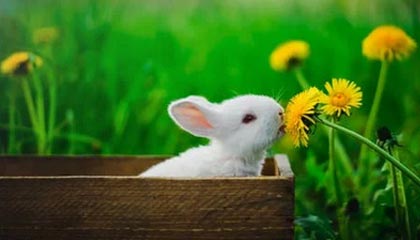 kaiyun-爱上海|勒布朗·詹姆斯上海行：以球为带，点燃热情